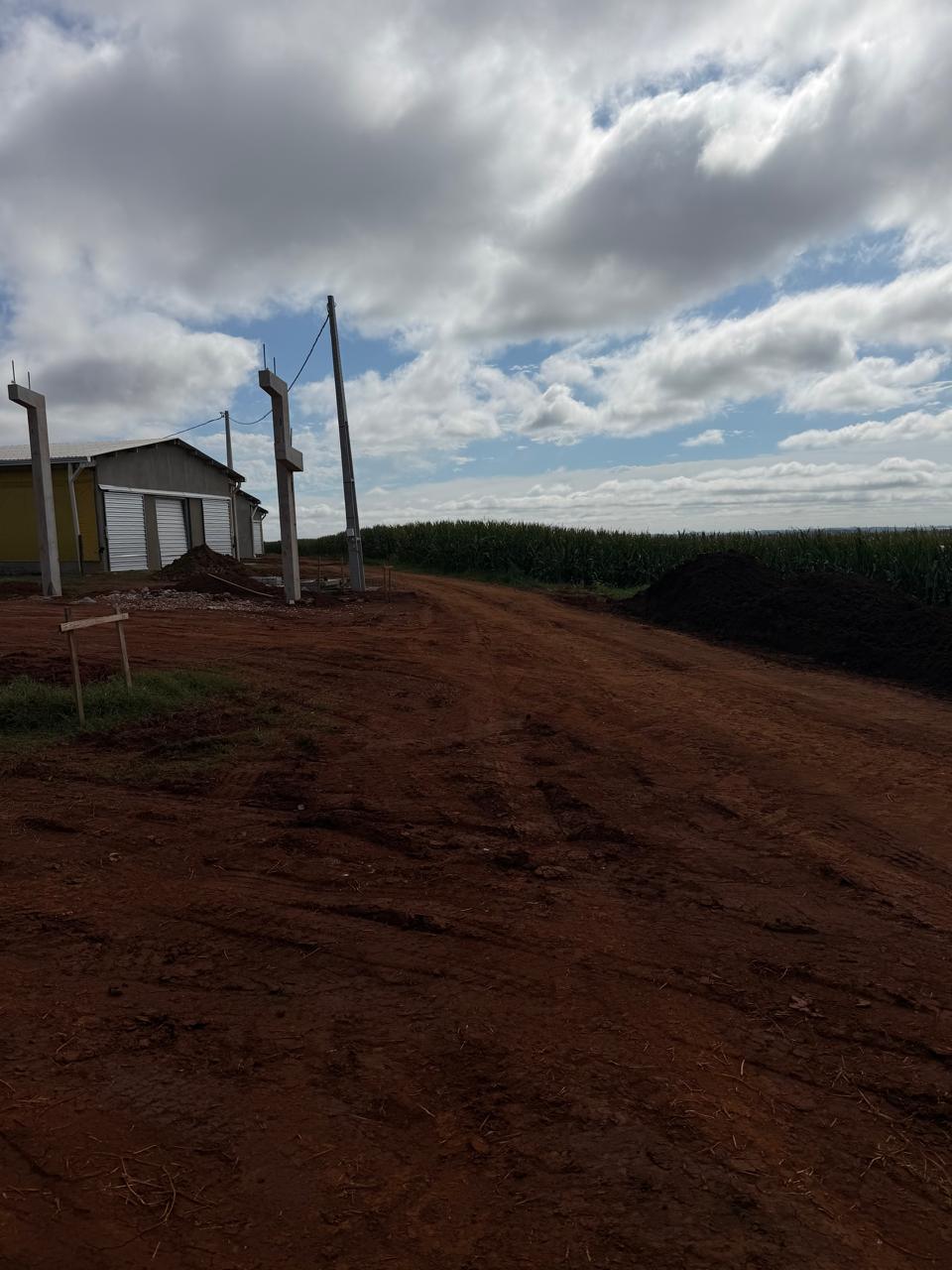 Acompanhamento técnico — Cliente 04, Arapoti/PR